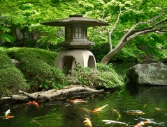 Jardín japonés, inspiración para el haiku.